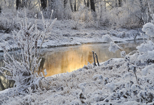 Winterlandschaft