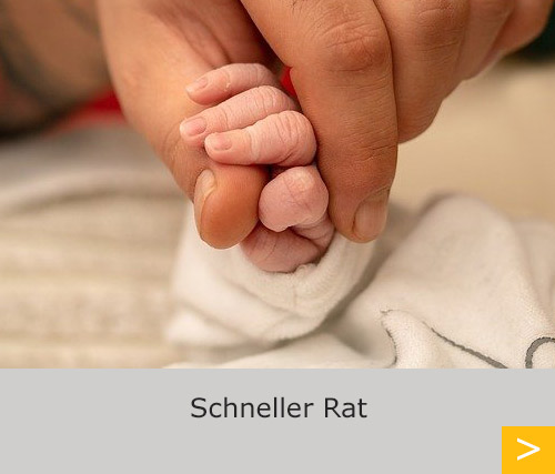 Schneller Rat