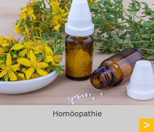 Schwerpunkt Homöopathieberatung